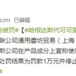 哈根达斯发布违法广告被罚1万 用代可可脂冒充巧克力