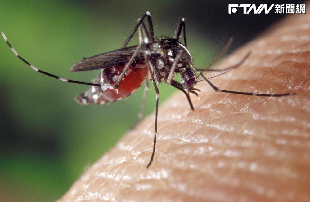 台南頻傳登革熱…已破萬例!此病「現無特效藥」 4症狀儘速就醫